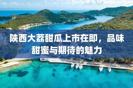 陕西大荔甜瓜上市在即，品味甜蜜与期待的魅力