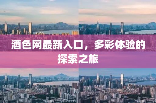 酒色网最新入口，多彩体验的探索之旅