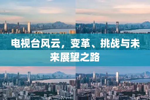 电视台风云，变革、挑战与未来展望之路