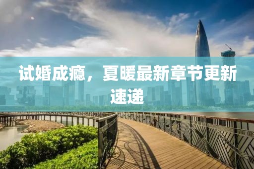 试婚成瘾，夏暖最新章节更新速递