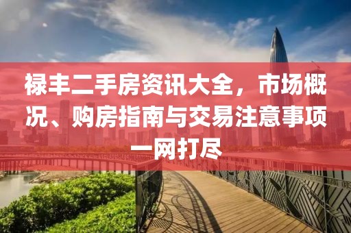 禄丰二手房资讯大全，市场概况、购房指南与交易注意事项一网打尽