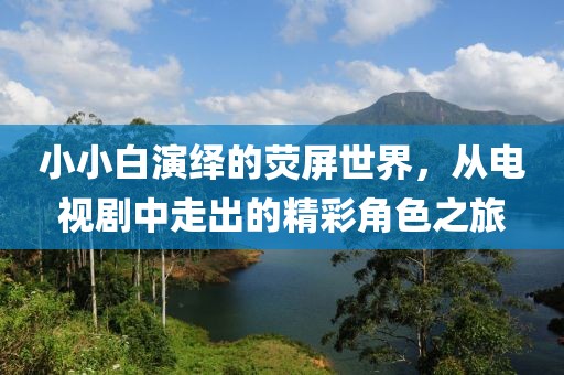 小小白演绎的荧屏世界，从电视剧中走出的精彩角色之旅