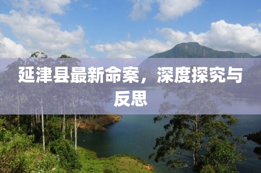 延津县最新命案，深度探究与反思