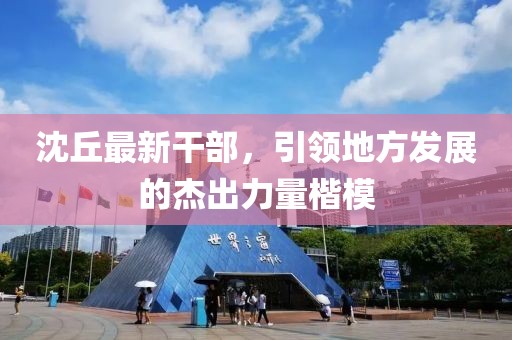 沈丘最新干部，引领地方发展的杰出力量楷模
