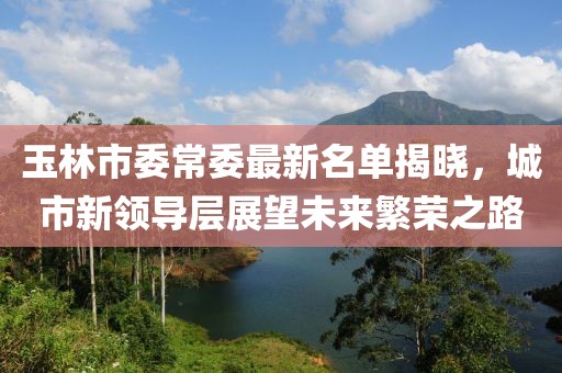 玉林市委常委最新名单揭晓，城市新领导层展望未来繁荣之路