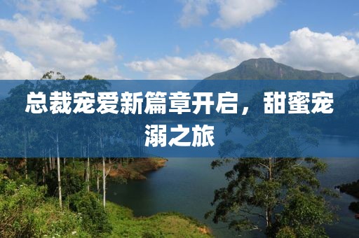 总裁宠爱新篇章开启，甜蜜宠溺之旅