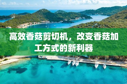 高效香菇剪切机，改变香菇加工方式的新利器