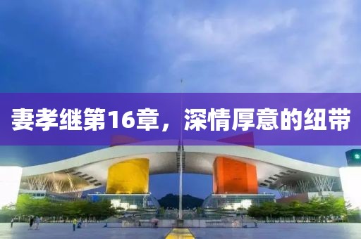妻孝继第16章，深情厚意的纽带