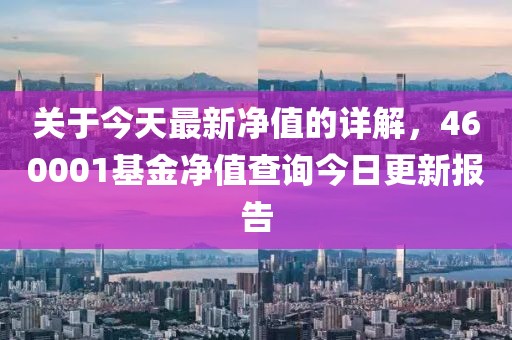 关于今天最新净值的详解，460001基金净值查询今日更新报告