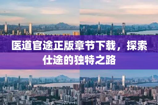 医道官途正版章节下载，探索仕途的独特之路