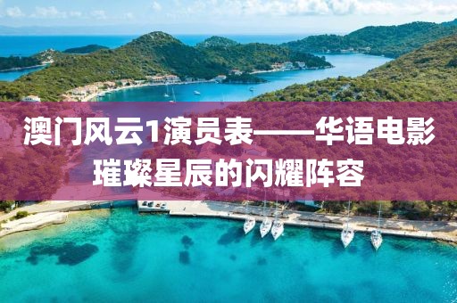 澳门风云1演员表——华语电影璀璨星辰的闪耀阵容