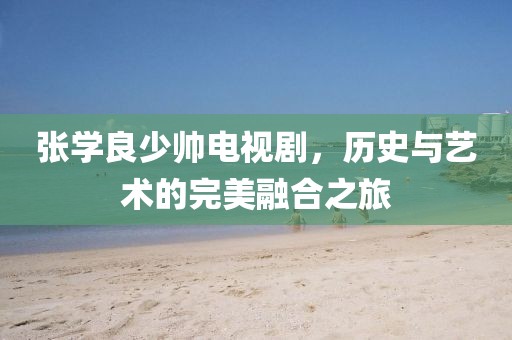 张学良少帅电视剧，历史与艺术的完美融合之旅