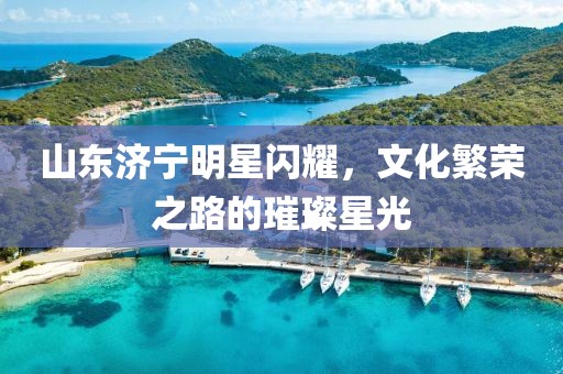 山东济宁明星闪耀，文化繁荣之路的璀璨星光