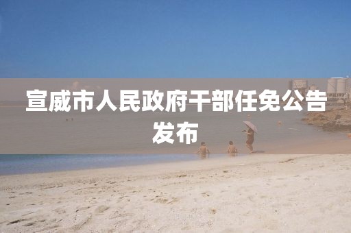 宣威市人民政府干部任免公告发布