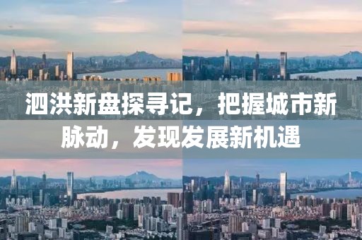 泗洪新盘探寻记，把握城市新脉动，发现发展新机遇
