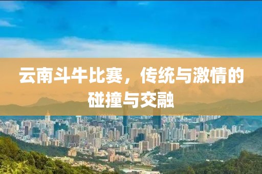 云南斗牛比赛，传统与激情的碰撞与交融