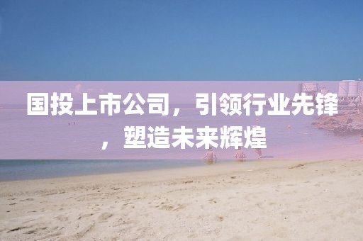 国投上市公司，引领行业先锋，塑造未来辉煌