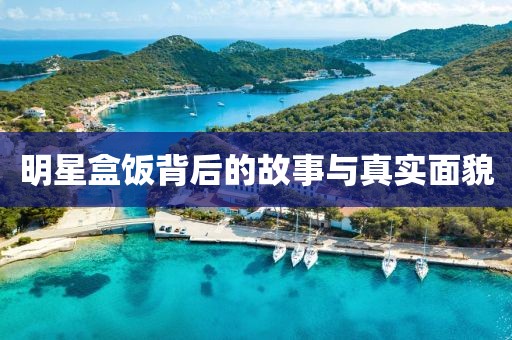 明星盒饭背后的故事与真实面貌