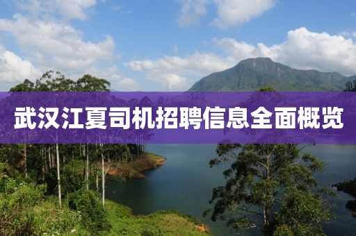 武汉江夏司机招聘信息全面概览