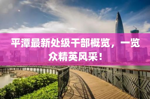 平潭最新处级干部概览，一览众精英风采！