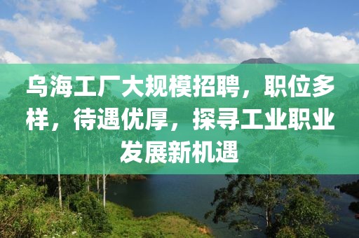乌海工厂大规模招聘，职位多样，待遇优厚，探寻工业职业发展新机遇