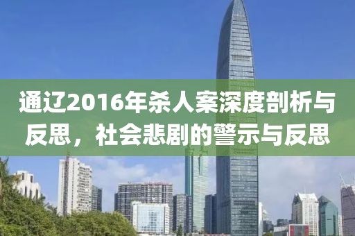 通辽2016年杀人案深度剖析与反思，社会悲剧的警示与反思