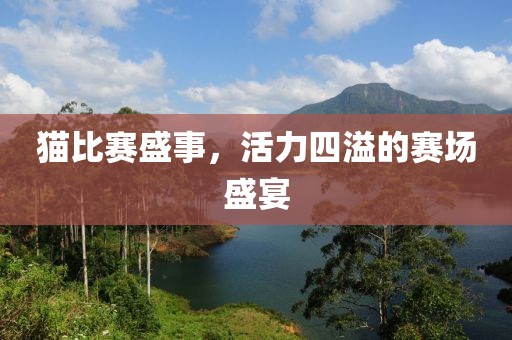 猫比赛盛事，活力四溢的赛场盛宴