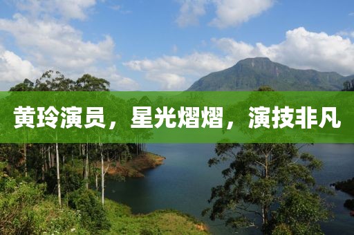 黄玲演员，星光熠熠，演技非凡
