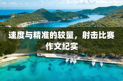 速度与精准的较量，射击比赛作文纪实
