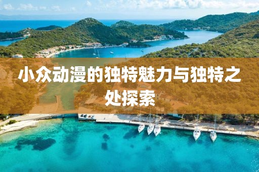 小众动漫的独特魅力与独特之处探索