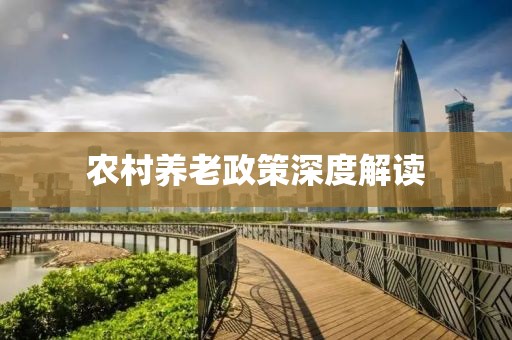 农村养老政策深度解读