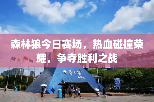 森林狼今日赛场，热血碰撞荣耀，争夺胜利之战