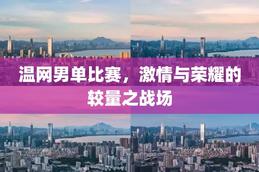 温网男单比赛，激情与荣耀的较量之战场