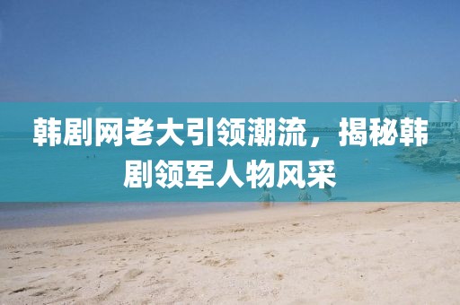 韩剧网老大引领潮流，揭秘韩剧领军人物风采