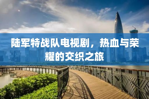 陆军特战队电视剧，热血与荣耀的交织之旅