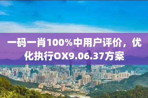 一码一肖100%中用户评价，优化执行OX9.06.37方案