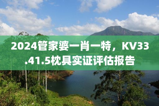 2024管家婆一肖一特，KV33.41.5枕具实证评估报告
