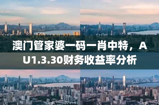 澳门管家婆一码一肖中特，AU1.3.30财务收益率分析