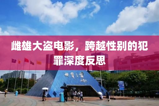 雌雄大盗电影，跨越性别的犯罪深度反思