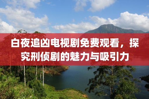 白夜追凶电视剧免费观看，探究刑侦剧的魅力与吸引力