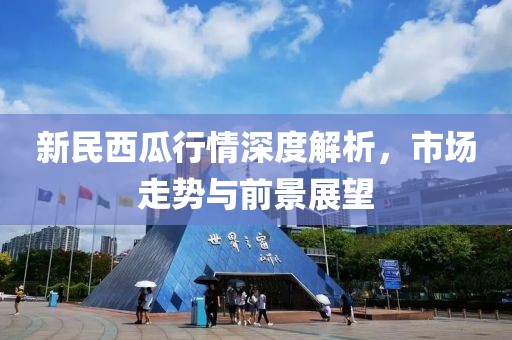 新民西瓜行情深度解析，市场走势与前景展望