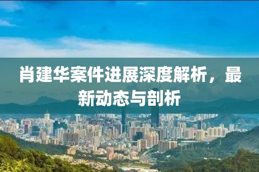 肖建华案件进展深度解析，最新动态与剖析