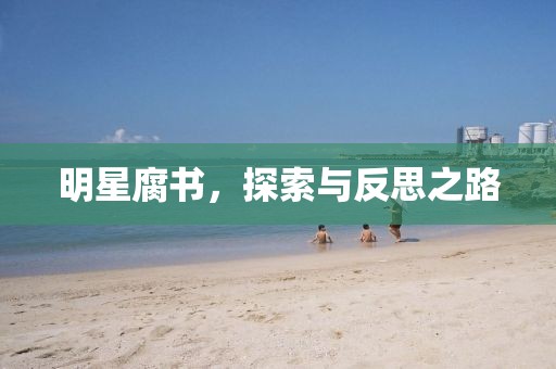 明星腐书，探索与反思之路