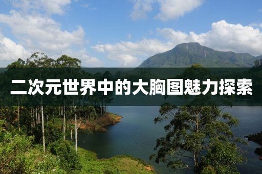 二次元世界中的大胸图魅力探索