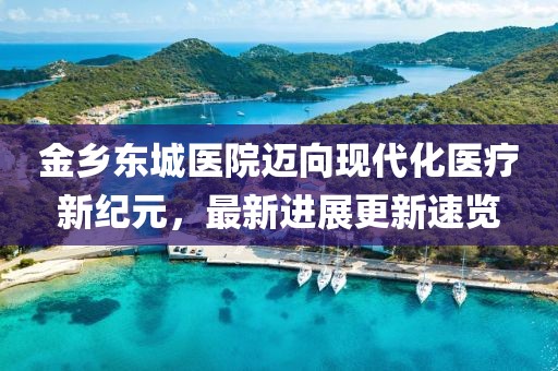 金乡东城医院迈向现代化医疗新纪元，最新进展更新速览