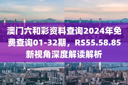澳门六和彩资料查询2024年免费查询01-32期，RS55.58.85新视角深度解读解析