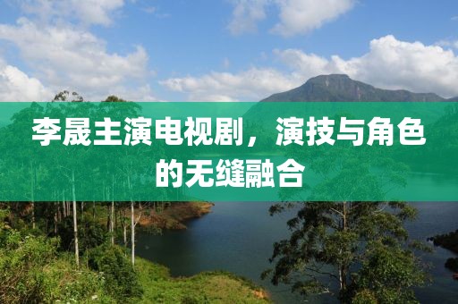 李晟主演电视剧，演技与角色的无缝融合