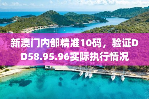 新澳门内部精准10码，验证DD58.95.96实际执行情况