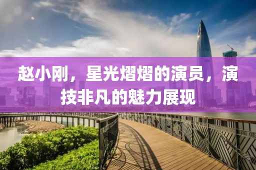 赵小刚，星光熠熠的演员，演技非凡的魅力展现
