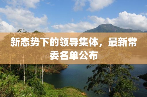 新态势下的领导集体，最新常委名单公布
